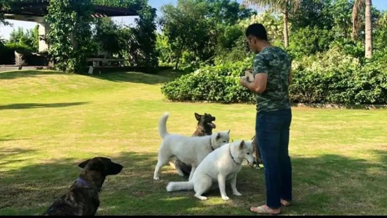 See the unseen pics of CSK skipper MS Dhoni's Ranchi farmhouse