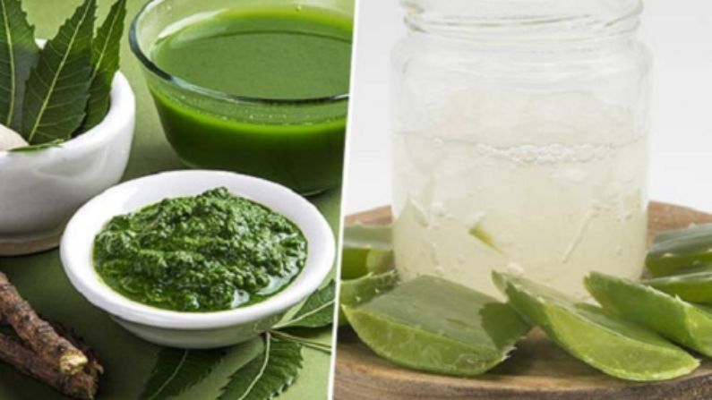 Neem and Aloe for skin