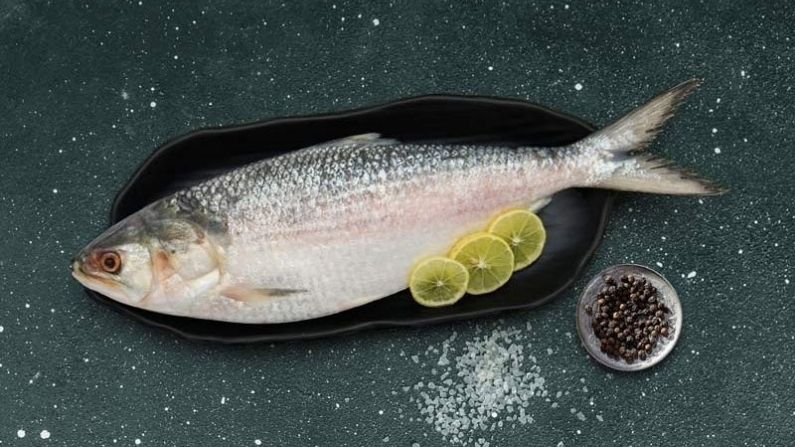 Identifying Ilish Fish in market