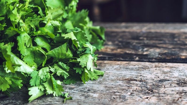 coriander leaves hair mask