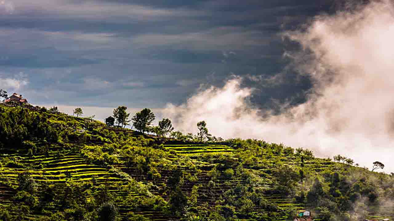 গাভী: আপনি যদি কখনও এমন কোনও পাহাড়ি স্টেশনে যেতে চান যা আপনাকে অন্যদের