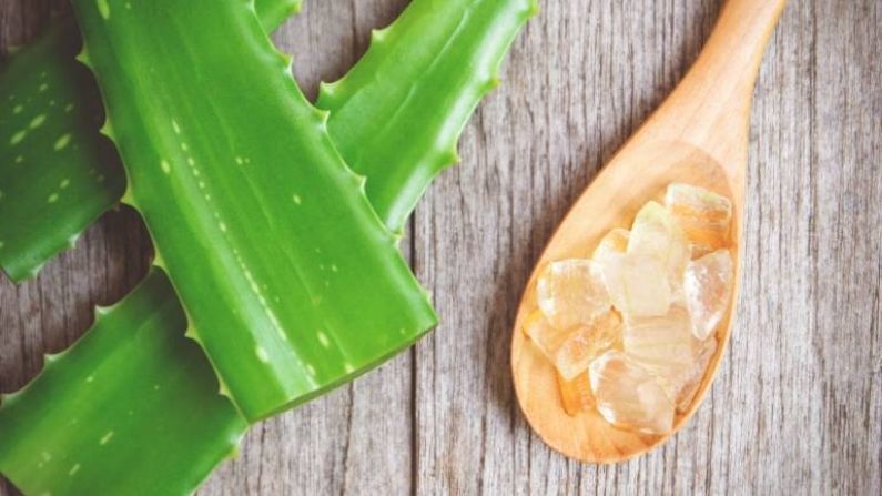 Aloe Vera in Skin Care