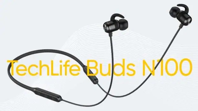 Realme TechLife Buds N100
