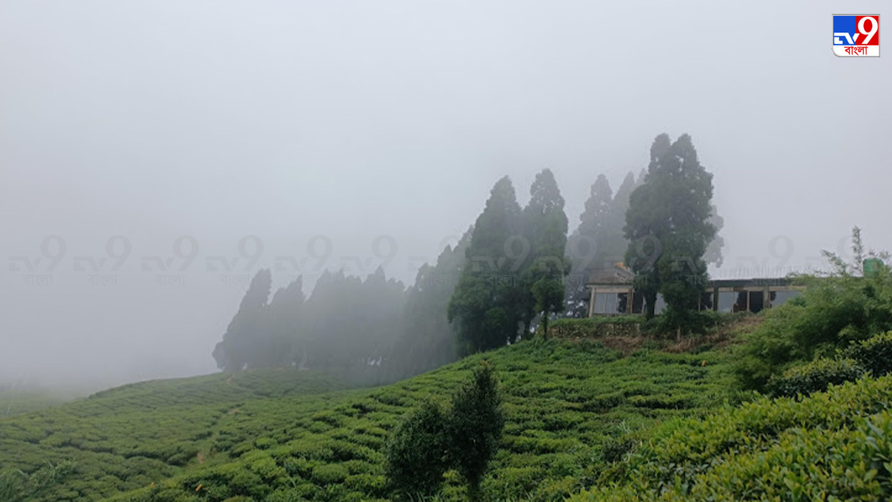 Kanyam, Nepal