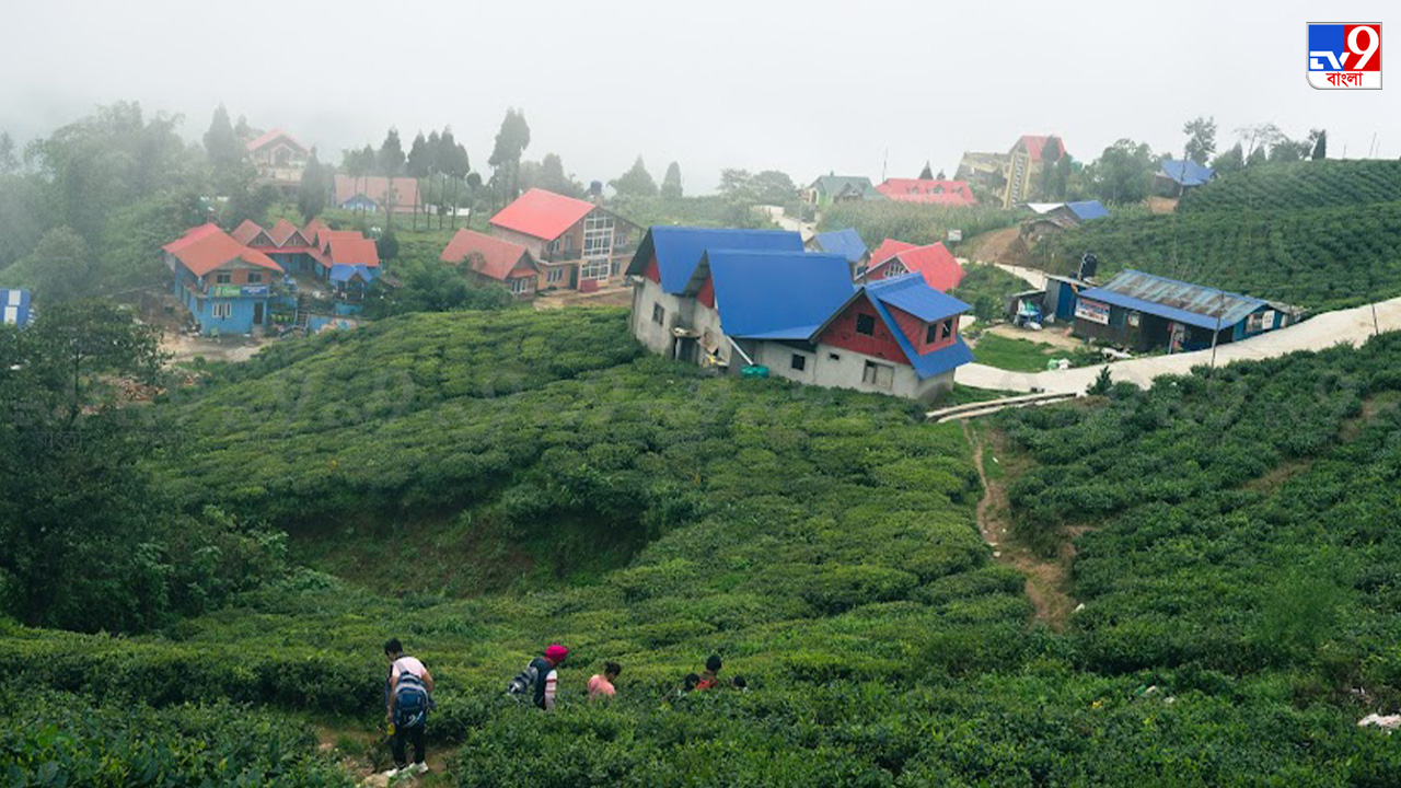 Kanyam, Nepal