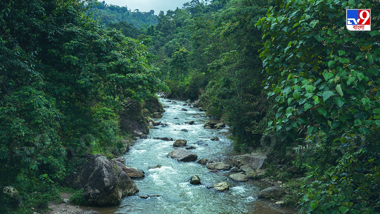 shree antu, kanyam, nepal